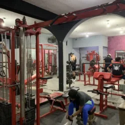 OlimpusGYM