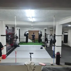 COLMILLOS BOXING