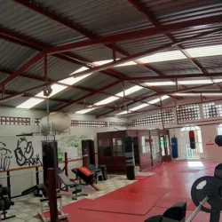 Warrior's Gym