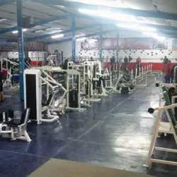 WARRIOR'S GYM