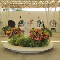 Velatorio Y Crematorio "La Piedad" del DIF
