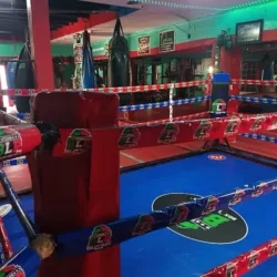 ESCUELA DE BOX "LOS POLINA"