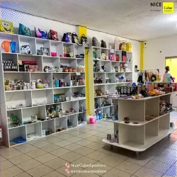 Nice Cube Apodaca