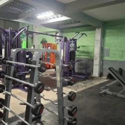 GYM Fussion