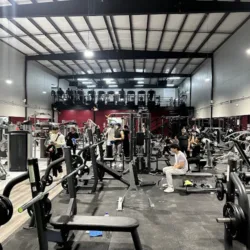 Platinum gym & fitness