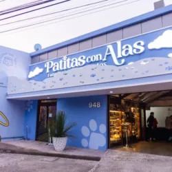 Patitas con Alas