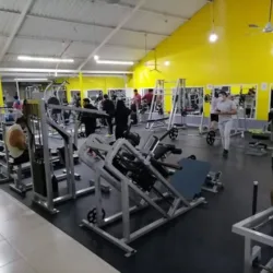 Forza italian gym