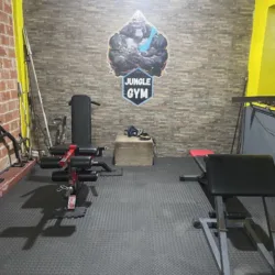 JUNGLE GYM