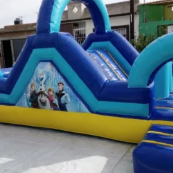 Brincolines Durango