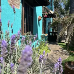 The Wellness Garden Rosarito