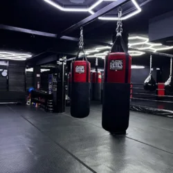 Panthera Fight Club