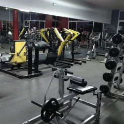 Majeco Wellness Club