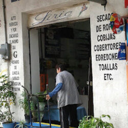 LAVANDERÍA Lirio