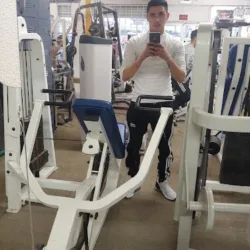 Animal GYM