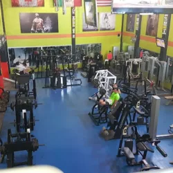 Bodyshape Gimnasio