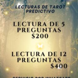 Lectura De Cartas y Tarot Alejandra Valdés