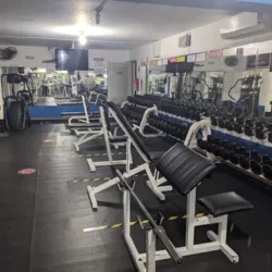 Body Fat GIMNASIO