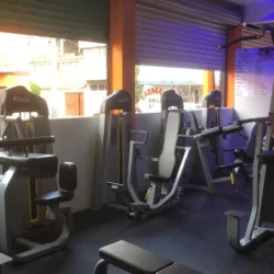 Muscle Mafia Gym