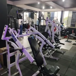 Master Gym
