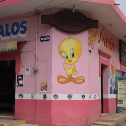 Papelería y Regalos Piolín