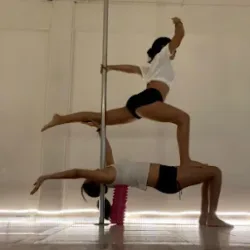 Gravity Pole