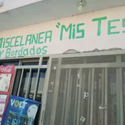 BORDADOS y Estampados Matamoros