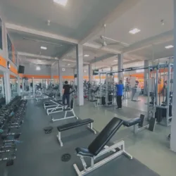 Olympia Gym Industrial