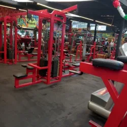Rott Gym