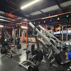 Viking Fitness