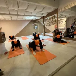 Elevate Social Club