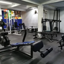 WOLF GYM