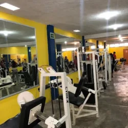 Gym master