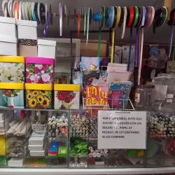 Papelería Tomy