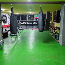 Ludus MMA Center