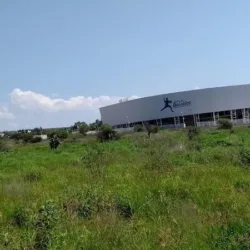 Estadio de Beisbol "Armando Reynoso Gutierrez"