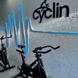 CYCLIN