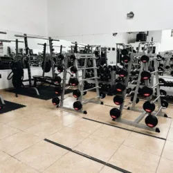 Lady Fit Gym.