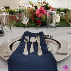 Aldama Eventos Sociales