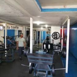 Venus Gym