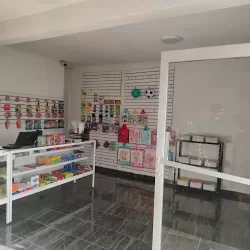 PAPELERÍA Y MERCERÍA LIZ'BLAN