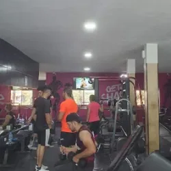 Master Gym