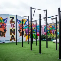 ZONA by Wolf
