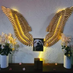 Memoria Viva Pet Crematory CREMATORIO DE MASCOTAS EN TOLUCA Y METEPEC