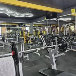 Brutal Gym