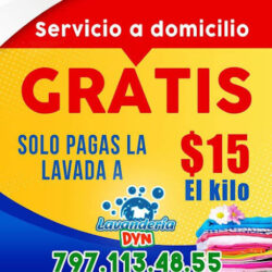 Lavandería DYN