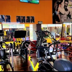 Sport Tiger Gym
