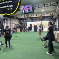 Centro Integral Fitness Gym Independencia