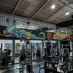 ANIMAL GYM
