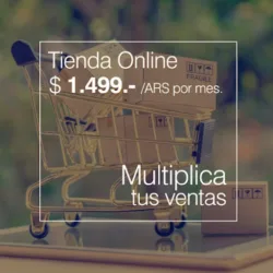 Diseño Web Profesional