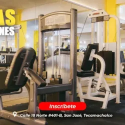 Body Star Gym